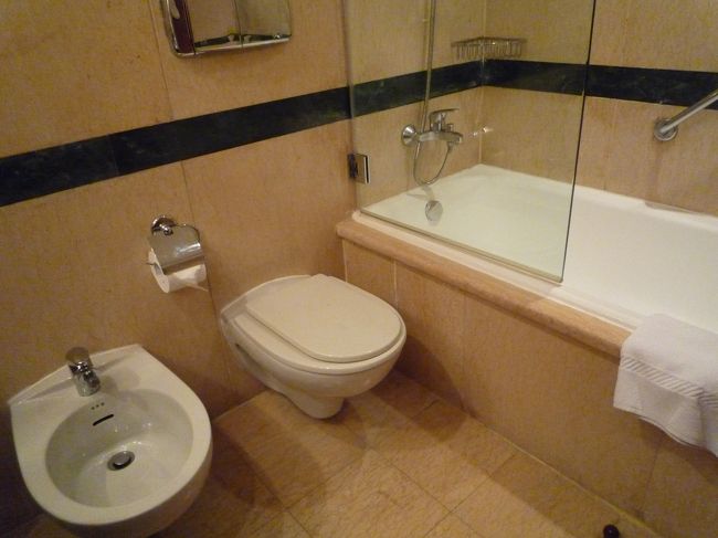 シャワーカーテンではなくガラスが半分だけ付いてる。<br />扉のように開くっていうのかな、動かすことは可能。<br />半分だけってシャワー時のお湯の飛び散りが心配だったけど大丈夫でした。<br />