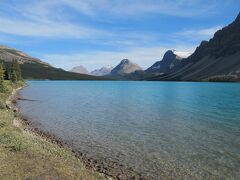ボウ湖（Bow Lake）。

■ 関連記事 ■
3日目） ルイーズ湖，ペイトー湖，アサバスカ氷河
http://4travel.jp/travelogue/10817083