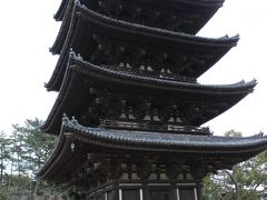 そして今回のラストの興福寺。場所は近いので楽ですが、閉館が早いので駆け足でまわりました。

写真は室町時代に建てられた五重塔ですが、奈良を散策していると室町時代や江戸時代が比較的新しく感じてしまう不思議な錯覚をしてしまいます。