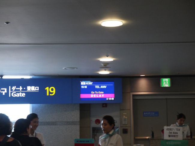 日本からイスラエルまでの直行便がないため<br />成田から大韓航空を利用しインチョン経由で向かうことに。<br /><br />平日朝の便だったからか、成田−インチョンはがらがら。<br /><br />インチョンでの乗り継ぎ約5時間<br />空港内で食事・買い物をしたりプレイゾーンで遊んだりして<br />ようやく搭乗時刻に。<br />ところが使用する機材がまだ到着していないらしく、<br />遅延・遅延の連続。結局、遅れること2時間でようやく離陸。<br /><br />機内も空いていて快適。<br />離陸前にCAさんが子供用におもちゃと、ティッシュ1箱、<br />ウェットティッシュが山ほど入ったショッピングバッグを<br />持ってきてくれる。<br />