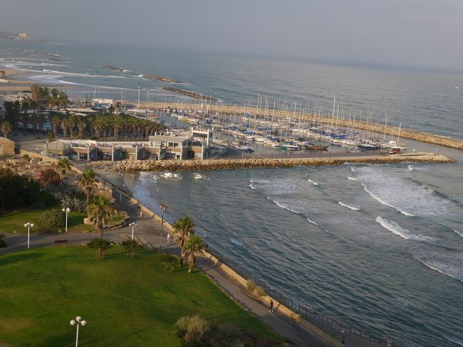 ホテル前の公園で遊んだ後は坂を降り<br />遊歩道沿いに港まで。<br />午前中にコンシェルジュに予約してもらった<br />地元で評判のシーフードレストランで夕食。<br />お店は6時前だというのに大混雑していました。<br />魚と調理法を選び、イスラエルサラダとレモネードを堪能しながら<br />待つこと20分。<br />魚の丸焼き2種がやってきて、子供は大喜びで目玉で遊んでる・・