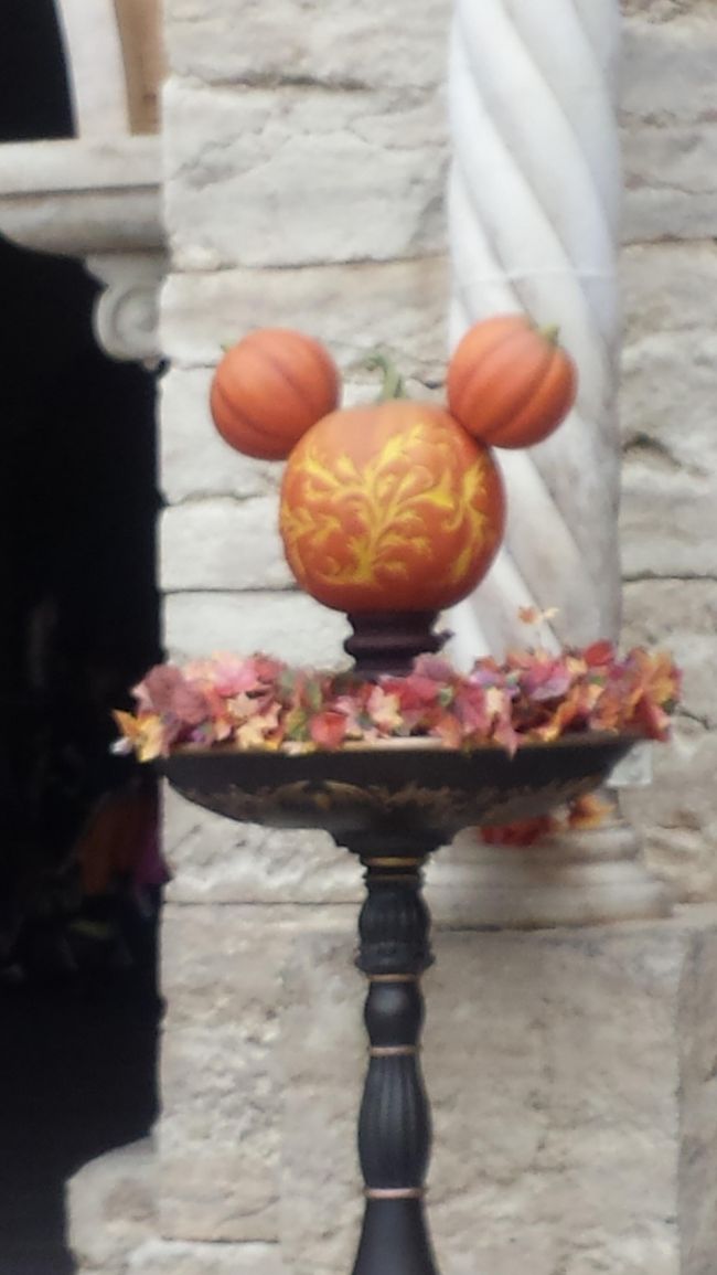 前日のお天気が絶不調で、<br />行く直前まで「行かない」「最後だから！」との<br />押し問答。<br /><br />とりあえず<br />HAPPY　HALLOWEEN！<br /><br />今回初めて正規料金でチケット購入しました。<br />来年から値上げだそうすね。