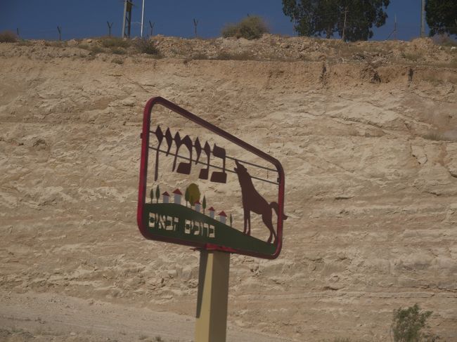 帰りも来た道と同様にマサダ、キブツのホテルを<br />通ってエルサレムのバスステーションへ。<br /><br />途中で砂漠にラクダが見えました。<br /><br />バスに乗るときは空港のセキュリティ同様の<br />荷物検査と身体検査を通ったけど、出るときはノーチェック。<br /><br />バスターミナルの中のドラッグストアで<br />AHAVA製品を買ってトラムに乗りマハネ・イェフダマーケットへ。<br /><br />夕方だったので市場入口近くのフィッシュ・アンド・チップスで<br />夕食を取り、市場散策。<br /><br />