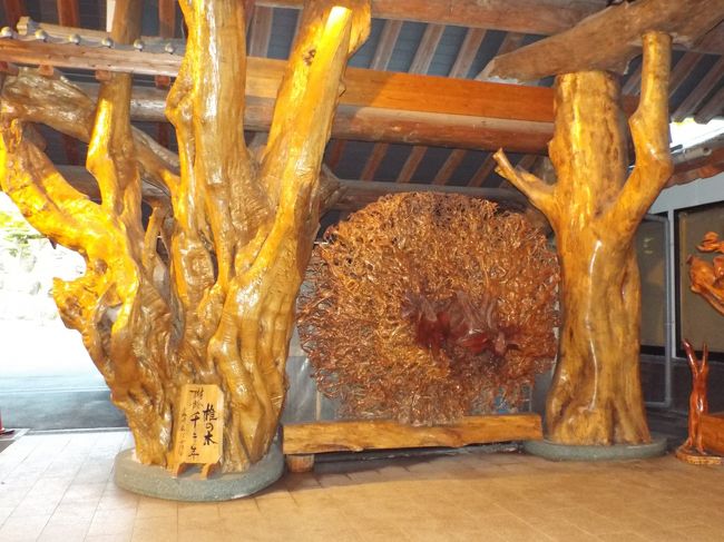 これも、玄関脇に置いてある銘木です。