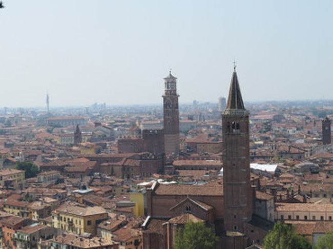 丘を登るとこのような景色。