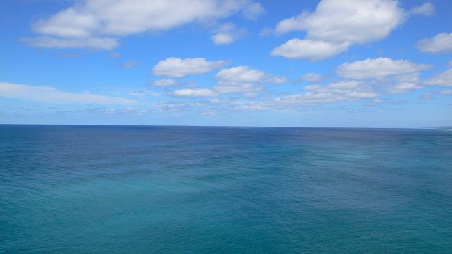 その翌日はクィーンズランド美術館、<br />ベトナムレストランでフォーを楽しみ<br />マウントクーサの夜景を鑑賞、<br />ヒルトンホテルのラウンジで一杯飲んで<br />ホテルに戻りました。<br /><br />オーストラリアは時差も少なく、帰国便は<br />ブリスベン午前発、成田夕方着で楽でした。