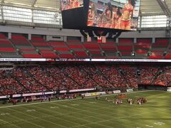 カナディアン・フットボール 
カナディアン・フットボール・リーグ （Canadian Football League: CFL)
BCライオンズ （BC Lions）

■ 関連旅行記 ■
ゾンビウォーク → カナディアン・フットボール観戦 （BCライオンズ）
http://4travel.jp/travelogue/10809962