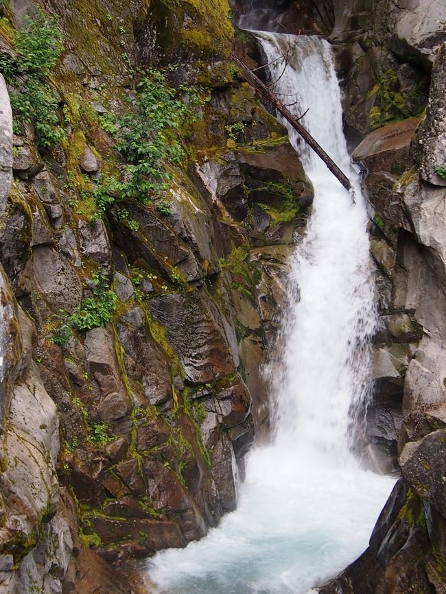 Christine Falls<br />