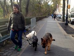 今日は11月6日火曜日
平日で人も少ない
犬の散歩は
ビジネスとして成立している

純血種よりもミックスが流行のようです