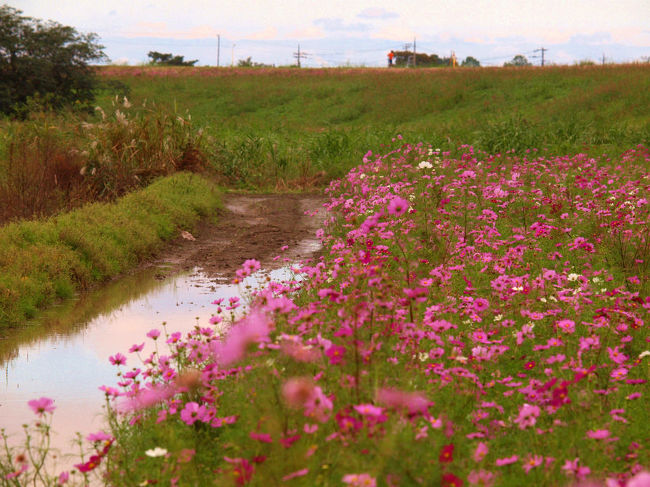 勢いよく流れてる
