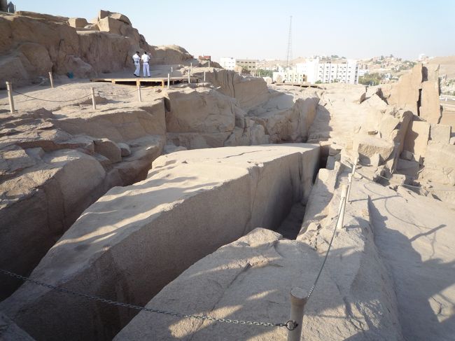 切りかけのオベリスク見学