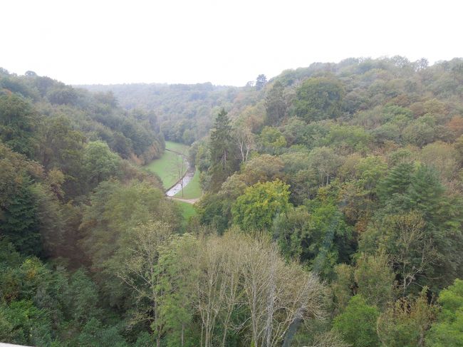 窓から外を見ると、自然がいっぱいです。