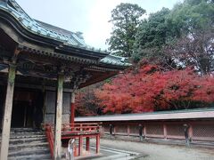 関西の日光とも呼ばれている日吉東照宮。