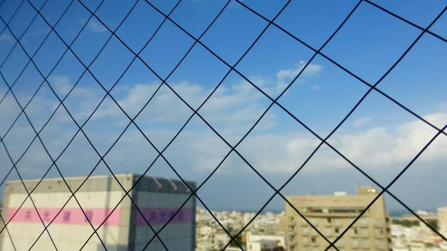 青空が広がって来ました。