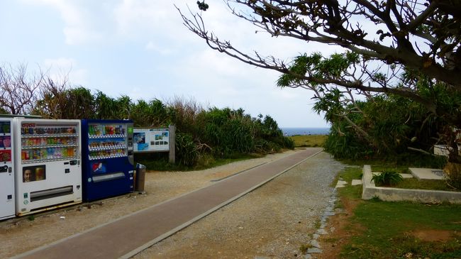 万座毛を久し振りに見に行きたいとは思ったのですが、余りの強風で、ズラが飛ぶ心配があったので止めました。