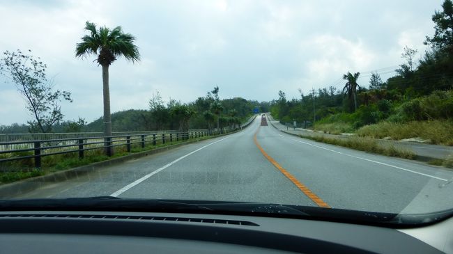 東海岸を那覇方向に戻ります。