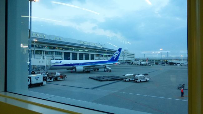台風２７号の影響で、多くの便にディレイが起こっているようで、私が搭乗予定の便も、２０分のディレイになり、１９時２０分発に変更になりました。
