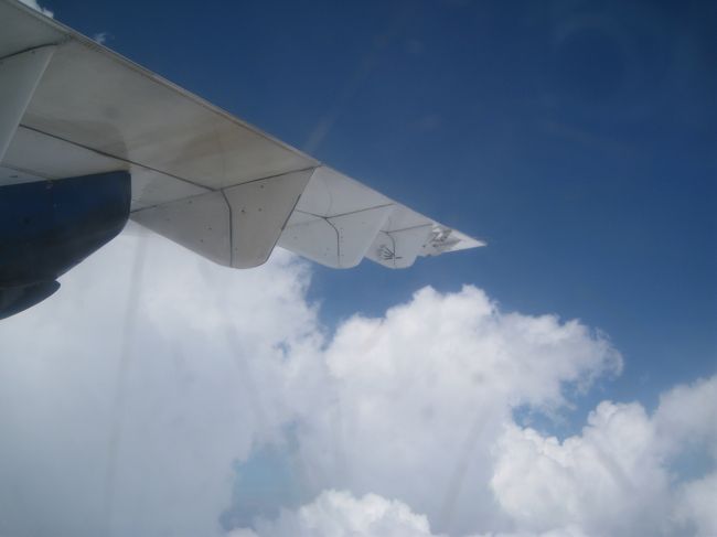 イギリス製の飛行機ね