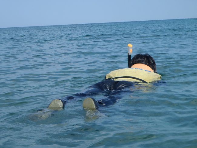 シュノケーリング開始！