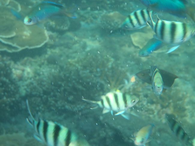 パンのカケラを持っているとメチャクチャ寄ってきます！