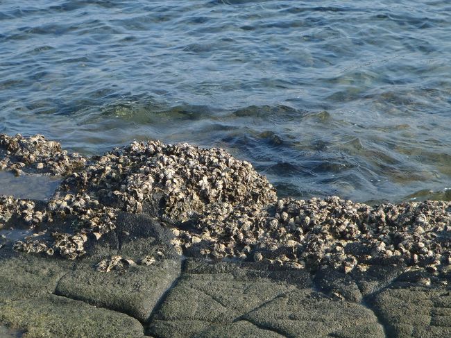 30分ほどだったと思いますが、けっこう疲れました。