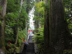 次に向かったのは箱根神社。

戦国武将からの信仰も厚かった箱根神社は大きな杉の巨木が覆う杜の中にひっそりと建てられている。
箱根神社は近年パワースポットとして有名になったので混雑しているかと思っていた。
が、雨天のためか参拝客の数はそれほど多くはなく、境内は静寂に包まれていた。

90段の石階段をゆっくりと登る。
階段脇には武道場があり、居合をやっている方たちがいた。
年齢層は上の方が多かったが、きりりと伸ばした背中に和装（袴）姿。
きちんとした和装の姿はとても凛々しく美しいと思う。