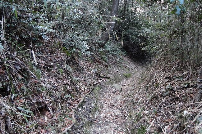 けもの道に ご用心 奈良 生駒山 生駒 宝山寺 奈良県 の旅行記 ブログ By オオイさん フォートラベル けもの道に ご用心 奈良 生駒山 生駒 宝山寺 奈良県 の旅行記 ブログ By オオイさん フォートラベル