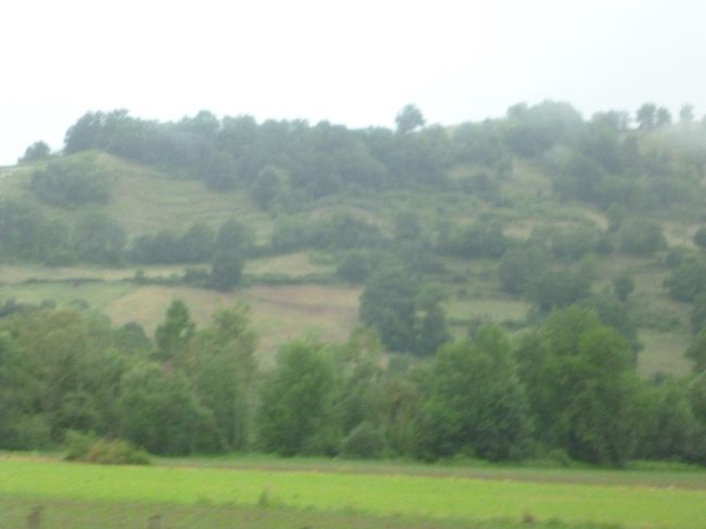 １３：１２<br />雨模様のせいか、遠くの山は靄っている。
