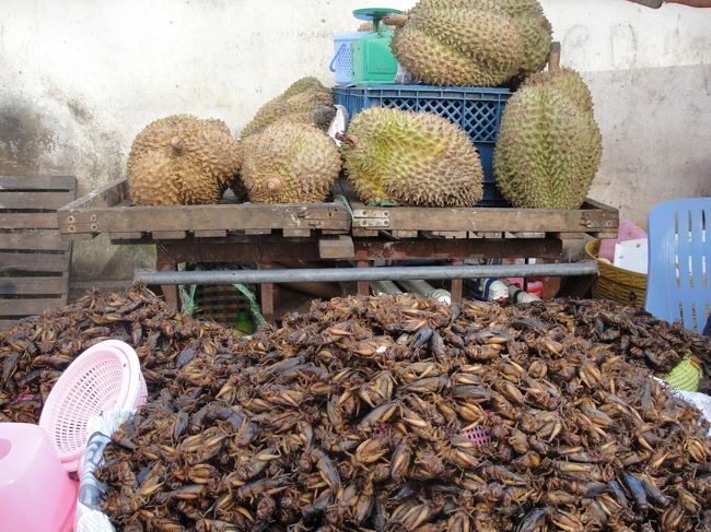 昆虫とドリアン。