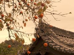 二月堂から大仏殿への左大佛殿道が奈良で一番好きな景色。
平成じゃない気がする！