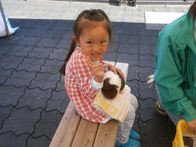 食後にのまうまハイランドに遊びに行きました！