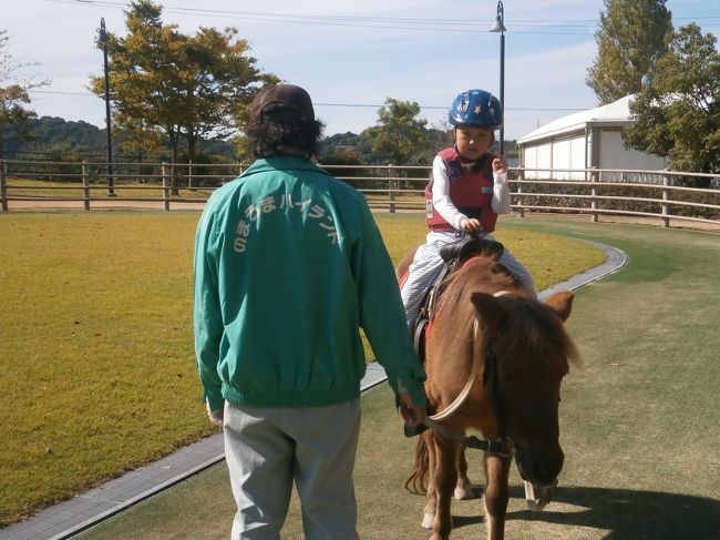 うちの娘ちゃん、馬に3回乗ると言っていたのに1回しか乗らず・・・