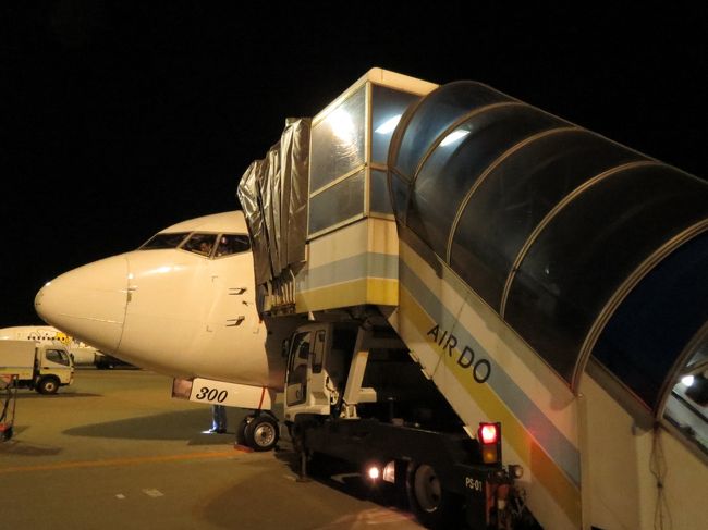 特に遅れもなく快適かつ満足感で一杯の<br />フライトで羽田へと到着。<br />羽田では沖止め、これも久しぶりにタラップを<br />体験。2日間の弾丸ツアーではありましたが、<br />移動時間も自宅から白馬や新潟方面まで車で<br />行くのとさほど変わらないし、少しお金を足して<br />シーズン初めの安い時期、閑散期の1月など日程を<br />うまく組んでいけば結構、安く行けるし、2013年も<br />12月に初旬の遠征を予定してます。<br /><br /><br />