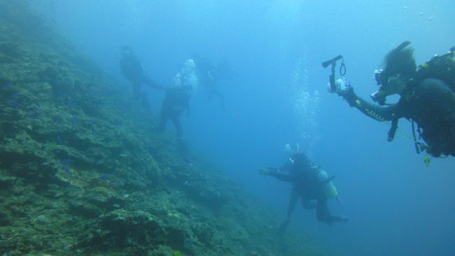 マンタ待ちしましたが現れず、、、、