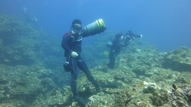 諦めてこんなことして遊びだすダイバーまで