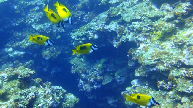 待っている間にゆっくり写真が撮れました