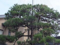 一般道で約４０分程で最初のスポット「瑞龍寺」に着きました。

が、お寺の正門前のお宅で、正に冬支度中。
