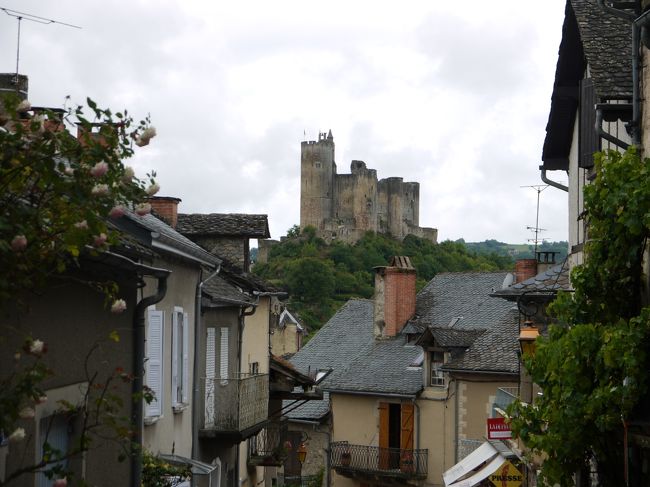 村の方から城を撮った写真です。城へは、村内の道を一旦下ってから登って行きます。