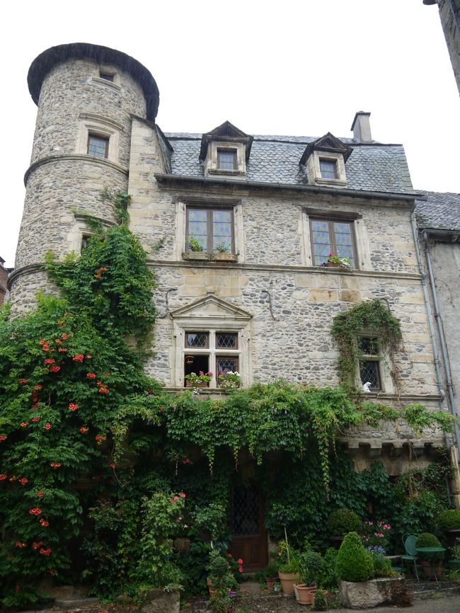 蔦が絡んだ建物です。しばしば見る光景です。