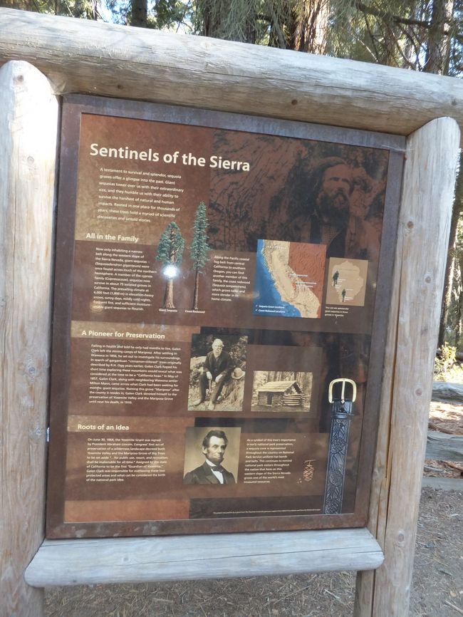 １６：３０ごろホテルに立寄り荷物を置き、いよいよ世界遺産観光です。<br /><br />ヨセミテ国立公園は、カリフォルニア州の東側に沿った、シエラ・ネバダ山脈の高い山々に囲まれた場所にあります。<br /><br />日本出発前から、大規模な山火事が発生していたようですが、この辺りは特に問題なく観光が出来ました。