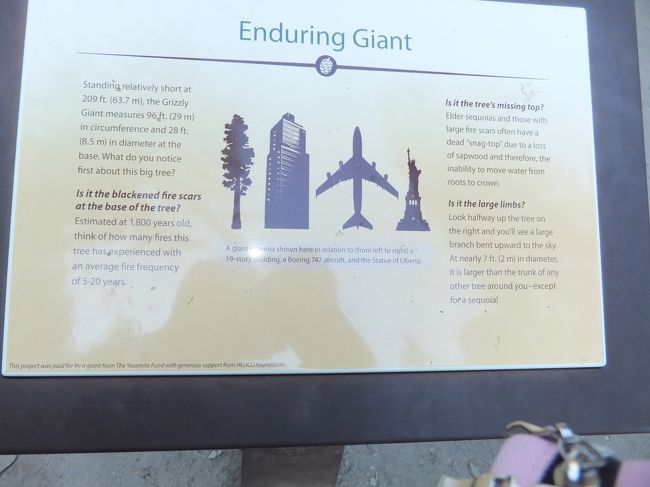 この図を見て、さらに驚きました！