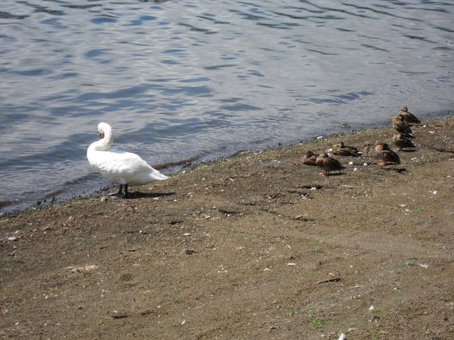 9/13　山中湖一周ライド<br /><br />癒されます。<br />