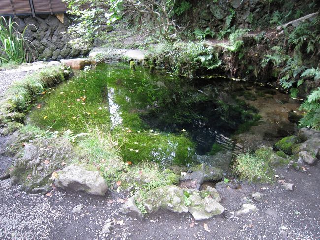 9/13　忍野八海<br /><br />お釜池、だったかな。<br />