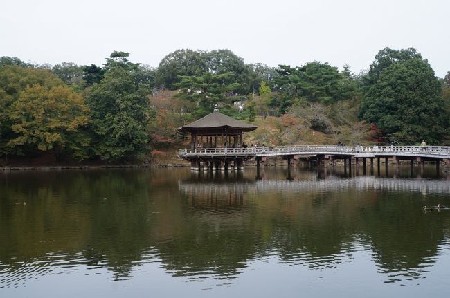 次は、奈良公園の浮見堂です。紅葉はまだです。しかし、紅葉に合わせると、正倉院展は終わってしまいます。