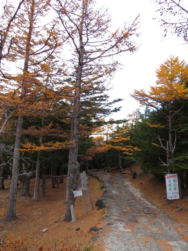 奥庭駐車場に着きました。<br /><br />