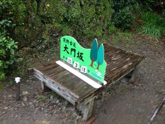 30分程で大門坂バス停に到着。


大門坂とは熊野古道の一つで、那智山に向かう参詣道です。

熊野古道の中で最も美しいと言われている石畳道で、比較的短距離なので気軽に歩くことができます。