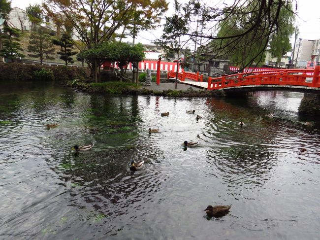 清らかな流れ。。。<br /><br />穏やかな時間。。。<br /><br />ただただ見ているだけで、幸せでした。。。