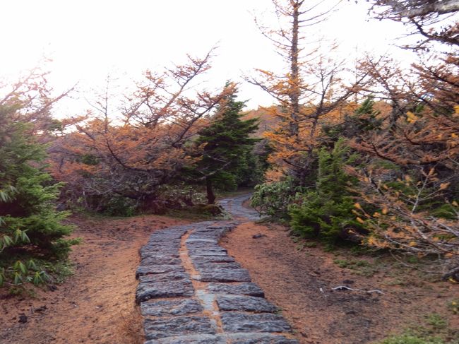 実は、<br /><br />ここまでたどり着くまで・・・大変でした・・・