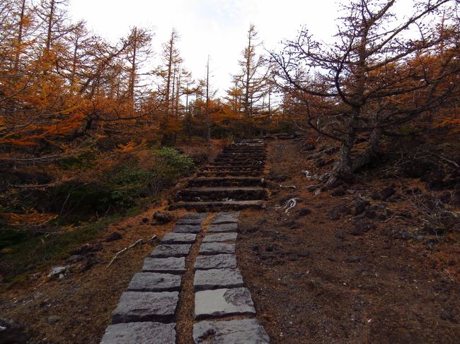 パニック、パニック<br /><br />泣きそうでした・・・