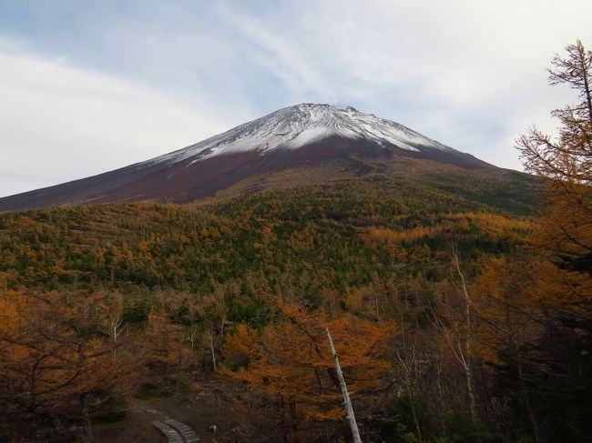 “モォー”と<br /><br />ヤケになって叫ぶと・・・<br /><br />今度は、笑えてきました・・・